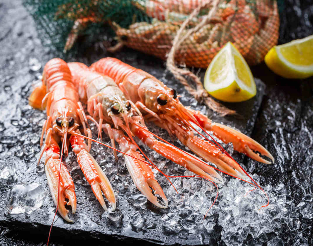 Venite a gustare i nostri Antipasti Crudi presso il nostro Ristorante Lido delle Sirene a Torre Lapillo